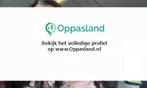 Zinzi zoekt een oppas in Leeuwarden voor 1 kind voor 4 da..., Sieraden, Tassen en Uiterlijk, Kettingen, Nieuw
