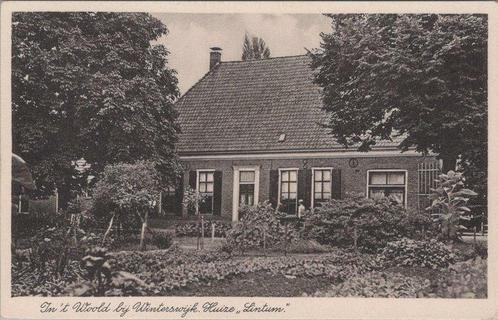 WINTERSWIJK - In t Woold bij Winterswijk. Huize Lintum, Verzamelen, Ansichtkaarten | Nederland, Verzenden