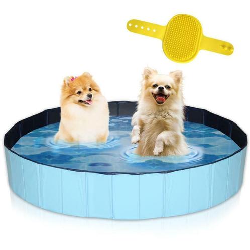 Hondenzwembad + borstel | Zwembad voor honden | Ø160x30cm |, Dieren en Toebehoren, Honden-accessoires, Nieuw, Verzenden