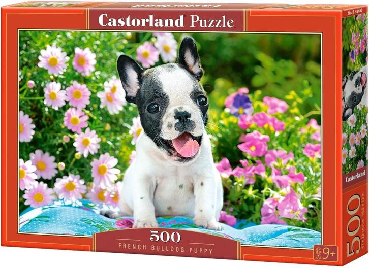 French Bulldog Puppy Puzzel (500 stukjes) | Castorland -, Hobby en Vrije tijd, Denksport en Puzzels, Nieuw, Verzenden