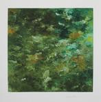 Fraaie en grote Kleurengiclee---Waldinneres, Antiek en Kunst, Kunst | Litho's en Zeefdrukken, Ophalen of Verzenden