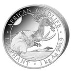 Somalische Olifant 1 kg 2023, Zilver, Losse munt, Overige landen, Verzenden