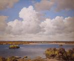 Schilderijen, mineralen en boeken voor zeer lage prijzen., Ophalen