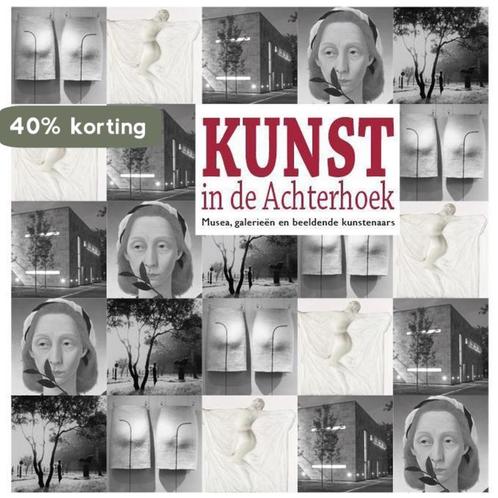 Kunst in de Achterhoek 9789491826412 Willem Beemers, Boeken, Kunst en Cultuur | Beeldend, Zo goed als nieuw, Verzenden