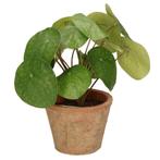 Kunstplant pilea Pannekoekplant groen in pot 25 cm - Overi.., Huis en Inrichting, Kamerplanten, Ophalen of Verzenden
