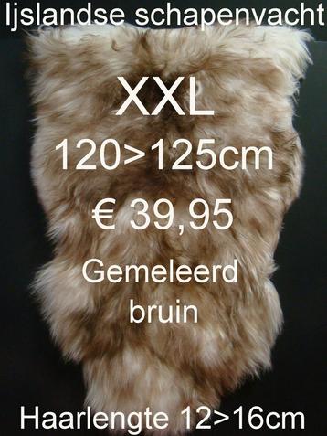 Schapenvacht IJSLANDSE Gemêleerde Bruin GROOT XXXL € 39,95 beschikbaar voor biedingen