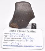 Prachtige Marokkaanse chondrietmeteoriet met een goed