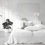 Ruime kamer met dieren toegestaan en prijs inclusief, Amsterdam