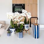 Kolibri Orchids | witte orchidee Amabilis + Malaga sierpot b, Verzenden