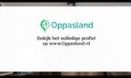 Dheavaney zoekt een oppas in Rotterdam voor 2 kinderen vo...