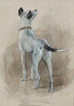 Nicolaas van der Waay (1855-1936) - Hond (No Reserve)