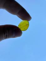 Amber - Barnsteen - Coreoidea, Burmese Amber, Insect Amber 2