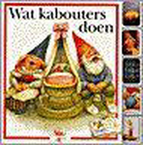 Wat Kabouters Doen 9789024291496 Rien Poortvliet, Boeken, Overige Boeken, Zo goed als nieuw, Verzenden