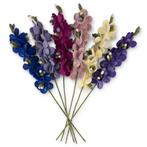Bloemen Ridderspoor 60cm - Vilt Fairtrade - Assortiment 6 Kl, Ophalen of Verzenden, Nieuw