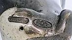 No Reserve Price - Finely detailed French Bulldog -