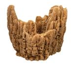 Zeespons  Natuurspons Taxidermie volledige montage -