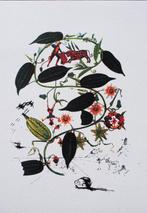 Salvador Dali (1904-1989) - Flordali (passiflore)