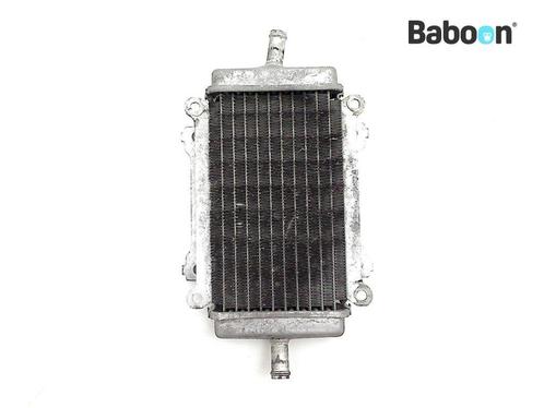 Radiateur Piaggio | Vespa GTS 250 IE 2005-2013 (GTS250, Motoren, Onderdelen | Overige, Gebruikt, Verzenden