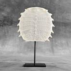 Geen reserveprijs - Indrukwekkende Chinese zachte