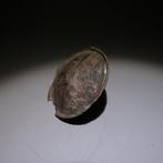 Chimu, Peru Zilver Tamba - Oorbel. 4,5 cm D. 1100 - 1400