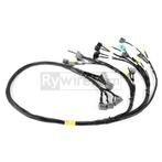 Rywire Honda B-Series OBD2 Tuck Budget Eng Harness w/OBD2, Ophalen of Verzenden