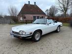 Jaguar - XJS 5.3 V12 - 1989