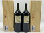 2019 El Énemigo Malbec - Mendoza - 2 Magnums (1.5L), Nieuw