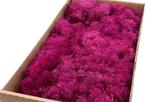 Rendiermos IJslandsmos Finlandsmos Fuchsia 500 gram, Hobby en Vrije tijd, Knutselen, Ophalen of Verzenden, Nieuw