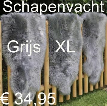 Schapenvacht Grijs GROOT ass. XL Grijze vachten € 34,95 TOP beschikbaar voor biedingen