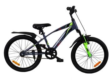 2Cycle Panter - 20 inch - Grijs-Groen- Kinderfiets - 6 tot 8 beschikbaar voor biedingen