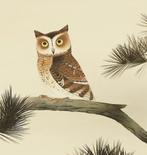 Owl on Pine Tree with Original Box (Tomobako) - Suzuki