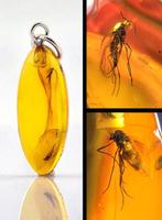 Barnsteen - Collector Baltic Amber Pendant – Twin MOSQUITO, Antiek en Kunst, Curiosa en Brocante