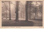 VELSEN - Gem. Wandelpark Velserbeek Boschpartij, Verzenden, Gelopen