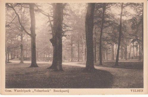 VELSEN - Gem. Wandelpark Velserbeek Boschpartij, Verzamelen, Ansichtkaarten | Nederland, Verzenden