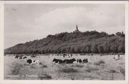 ELTEN (DE.) - Panorama op Eltenberg, Verzamelen, Ansichtkaarten | Nederland, Verzenden