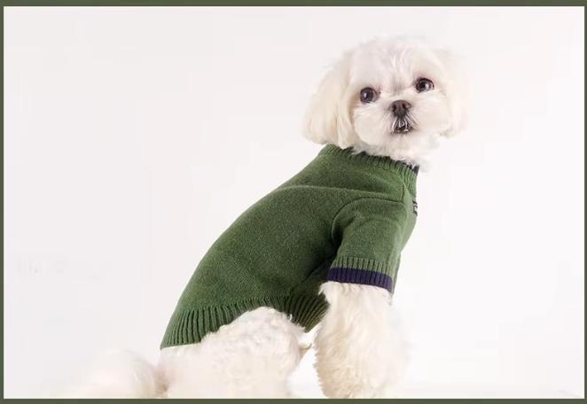 Hondentrui classic Groen (Truien, Hondenkleding), Dieren en Toebehoren, Hondenkleding, Hondenvest, Nieuw, Ophalen of Verzenden