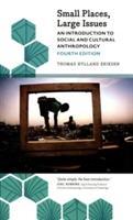 Small Places, Large Issues | Nieuw | Eriksen, Thomas Hylland, Ophalen of Verzenden, Nieuw, Eriksen, Thomas Hylland
