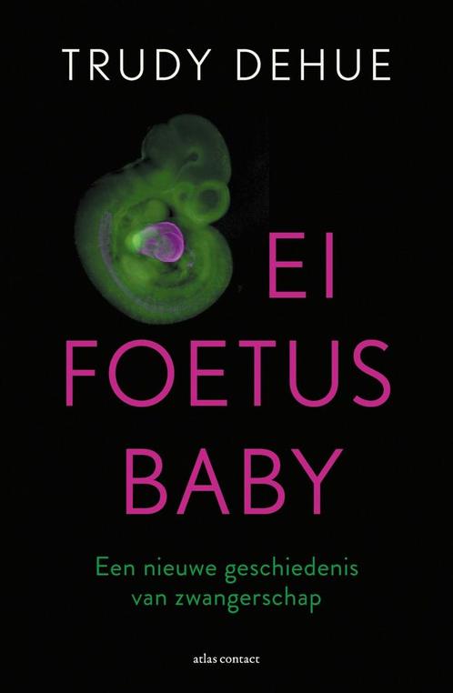 Ei, foetus, baby (9789045039787, Trudy Dehue), Boeken, Zwangerschap en Opvoeding, Nieuw, Verzenden