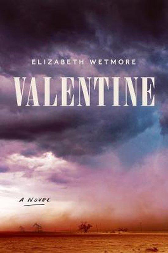 Valentine A Novel 9780062913265 Elizabeth Wetmore, Boeken, Taal | Engels, Zo goed als nieuw, Verzenden