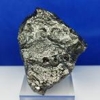 -GEEN MINIMUMVERKOOPPRIJS- XL IJZEREN METEORIET Campo del, Verzamelen, Mineralen en Fossielen