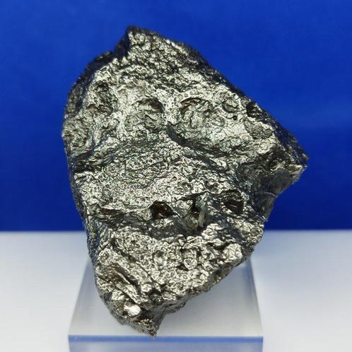 -GEEN MINIMUMVERKOOPPRIJS- XL IJZEREN METEORIET Campo del, Verzamelen, Mineralen en Fossielen