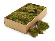 Platmos 500 gram Mos platmos, Hobby en Vrije tijd, Knutselen, Nieuw, Ophalen of Verzenden