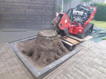 Boomstronk verwijderen, Stobbenfrees Oost en heel Nederland beschikbaar voor biedingen