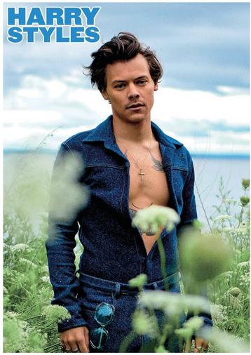 Posters - Poster Styles, Harry - Blauw beschikbaar voor biedingen