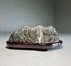 Japanse Suiseki kijksteen – Abe River Stone met houten Daiza