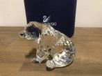 Swarovski - Figuur - Grizzly bear 243880 - Box + Certificate