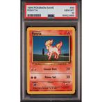 Pokémon - 1 Graded card - Ponyta 60/102 Base Set - PSA 10, Hobby en Vrije tijd, Verzamelkaartspellen | Pokémon, Nieuw