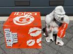 Daluxe Art - 1999 • The Ibiza King, Antiek en Kunst