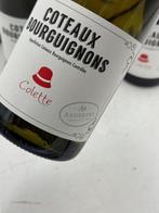 2022 Paul Aegerter Colette - Coteaux Bourguignon - 12, Nieuw