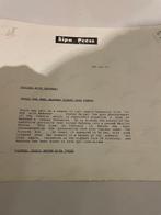 Chris Brown - MADONNA IN FLORIDA